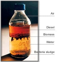 How Long Does Diesel Really Last in a Transfer Tank?